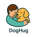 도그허그 애견방문훈련