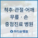마디손병원