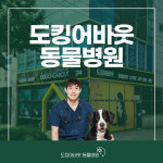 도킹어바웃 동물병원