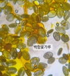 하연과학 성동교습소