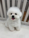 데려오개