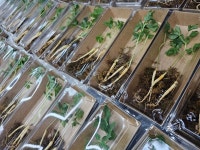 다온합기도&더원주짓수 명지