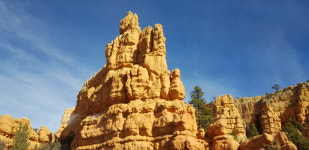 늘푸른여행사 북부지점