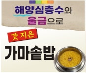 초당본가할머니순두부