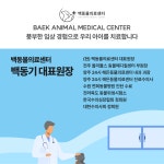 백동물의료센터