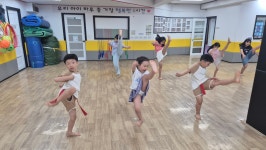 용인대금메달태권도 수락산역점