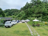 손가네능이오리