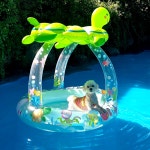 개떼놀이터 남양주 애견운동장 강아지놀이터 펫 반려견