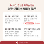 24시 분당 리더스 동물의료원