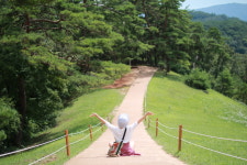 (합자)성화관광 | 영월아리랑관광합자