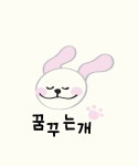 꿈꾸는개