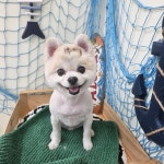 행복한발자국