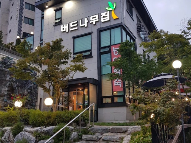 버드나무집