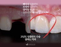 나비화이트치과의원