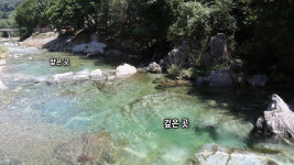 호두나무민박