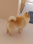 유별난 가위