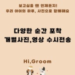 화명동 애견미용 강아지유치원 하이그룸