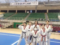 용인대최강태권도