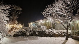 여송지성