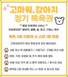고마워강아지 애견미용실