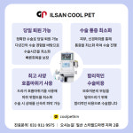 쿨펫동물병원 킨텍스점