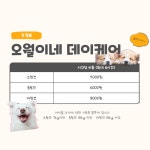 오월이네 애견유치원 훈련센터