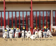 랩도그빌반려견전용캠핑장