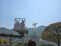 포천강반장