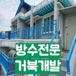 거북개발