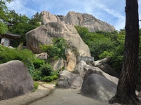 개인택시