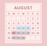 딱풀리는수학 정현초점