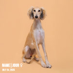 원주사진관 포토라임