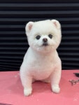 묭간댕