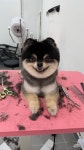 묭간댕