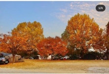 반딧불오토캠핑장