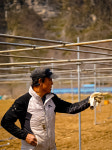 태영농장