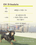개스트하우스 청주점
