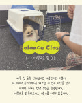 개스트하우스 청주점
