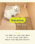 개스트하우스 청주점