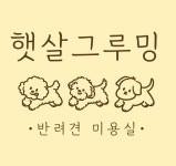 햇살그루밍 애견미용실