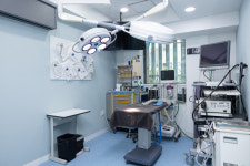 24시 수 동물병원