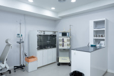 24시 수 동물병원