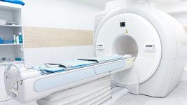 24시 수 동물병원