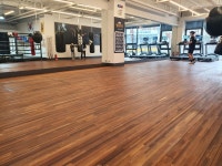 용인대엘리트복싱체육관