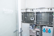 24시 수 동물병원