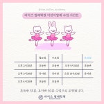 라이즈발레학원