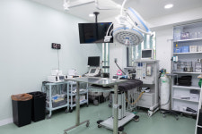 24시 수 동물병원