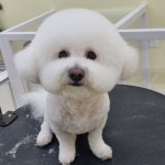 다듬다듬