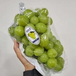 영남상회 칠성시장 과일도매 포도 거봉 샤인머스켓