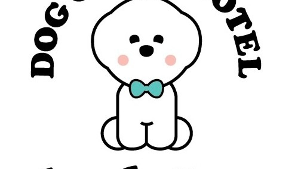 배드독 애견카페 애견호텔 애견미용
